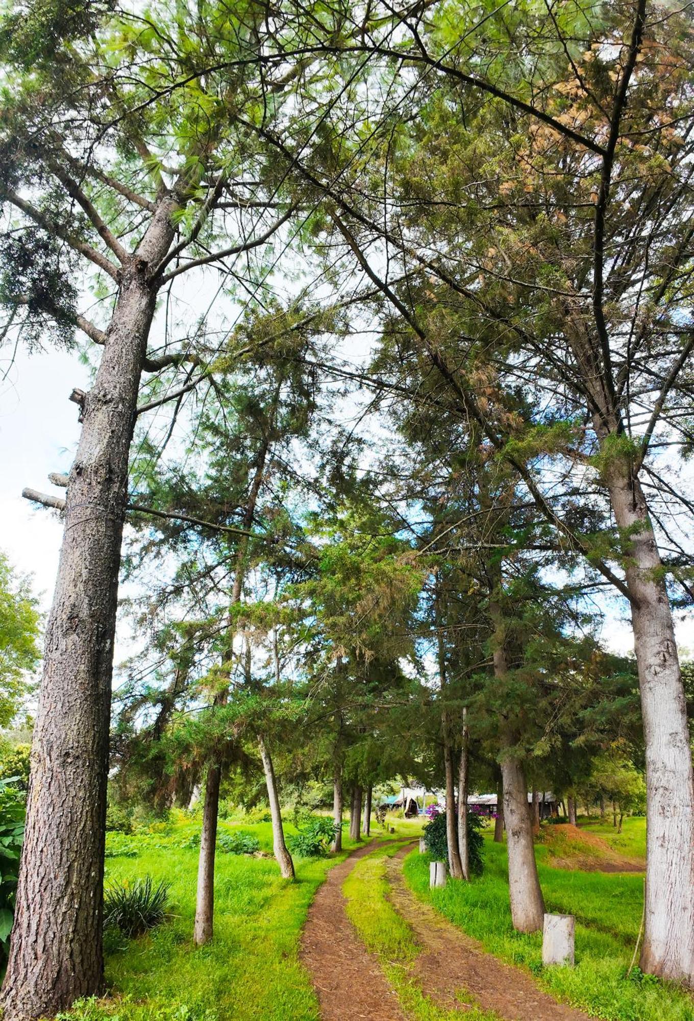 Villa Patzcuaro Garden Hotel Luaran gambar